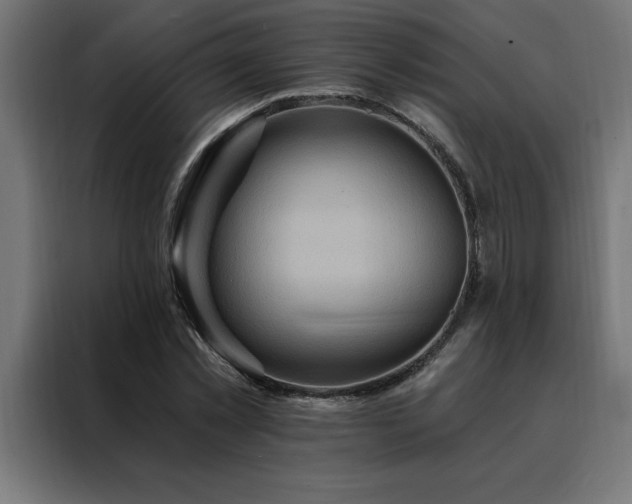 X0000088490781200705221426