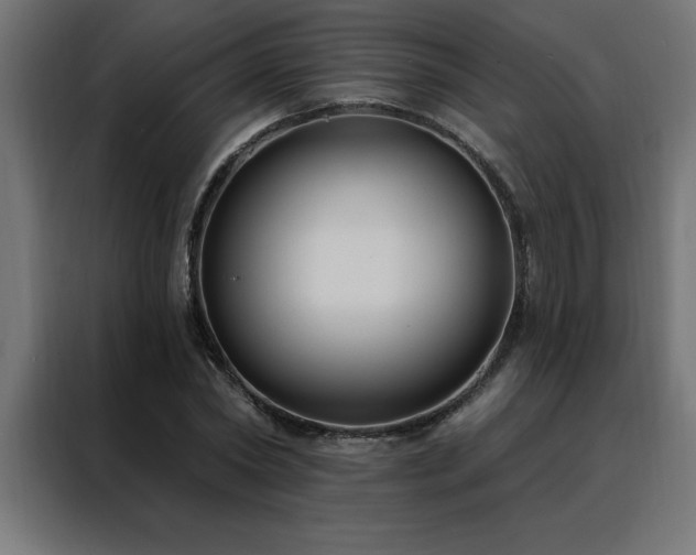 X0000088490782200705221426