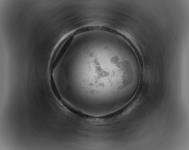 X0000088490783200705221426