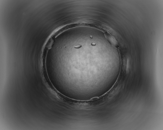 X0000088490784200705221426