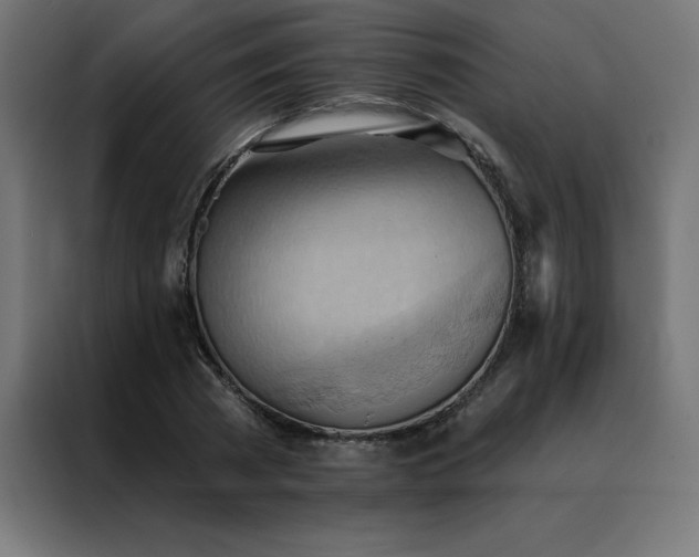 X0000088490785200705221426