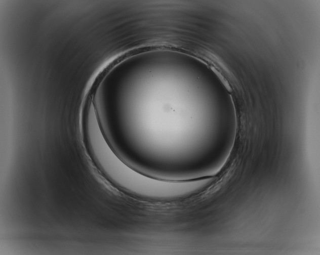 X0000088490788200705221426