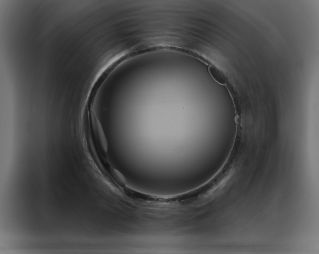 X0000088490790200705221426