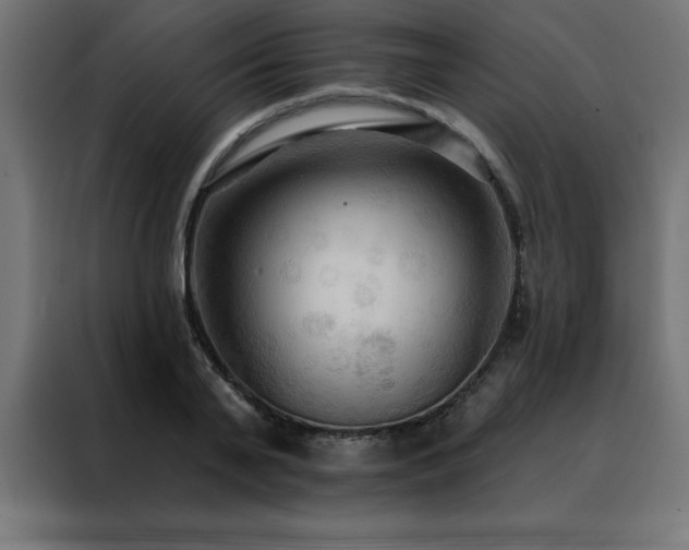 X0000088490791200705221426