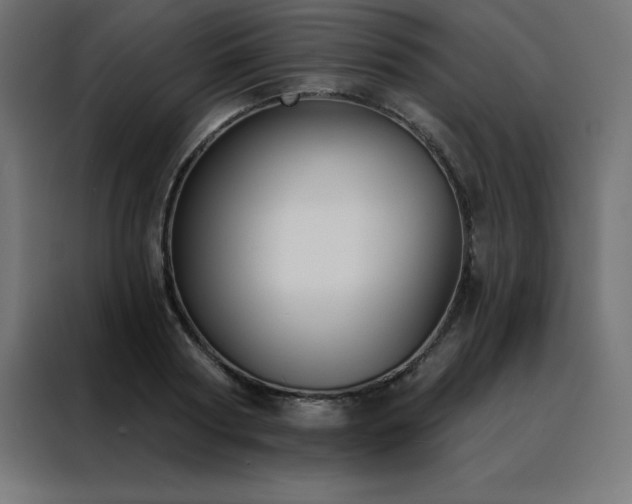 X0000088490794200705221426