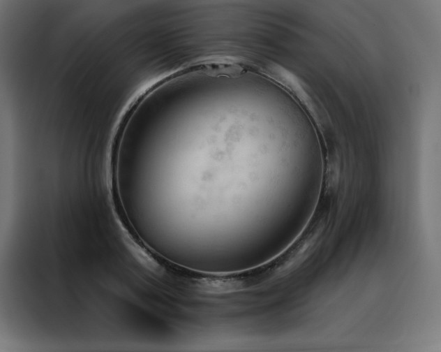 X0000088490795200705221426