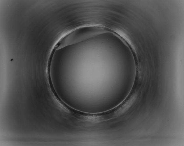 X0000088490797200705221426
