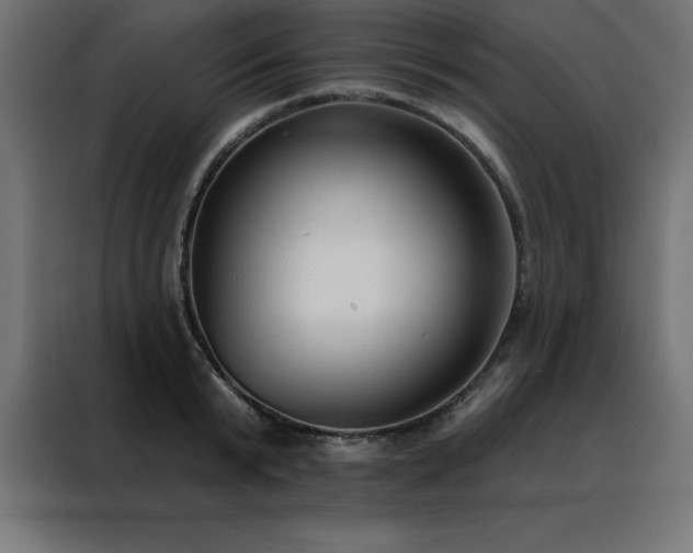 X0000088490799200705221426