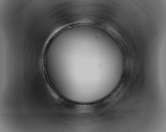 X0000088490800200705221426
