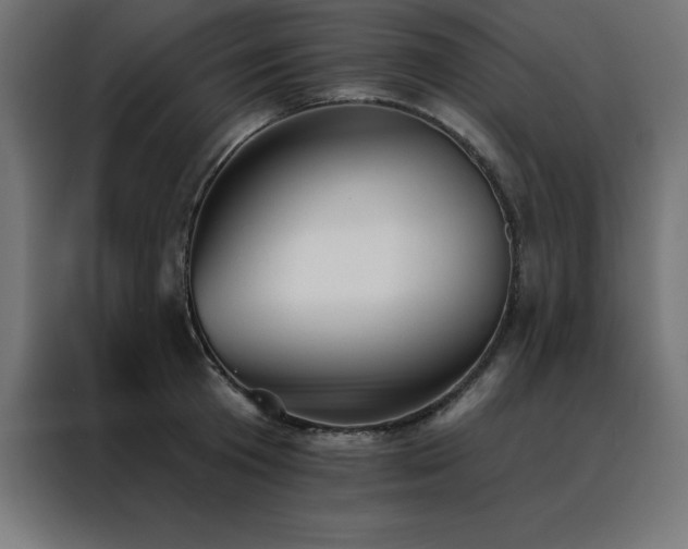 X0000088490801200705221426
