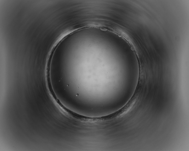 X0000088490803200705221426