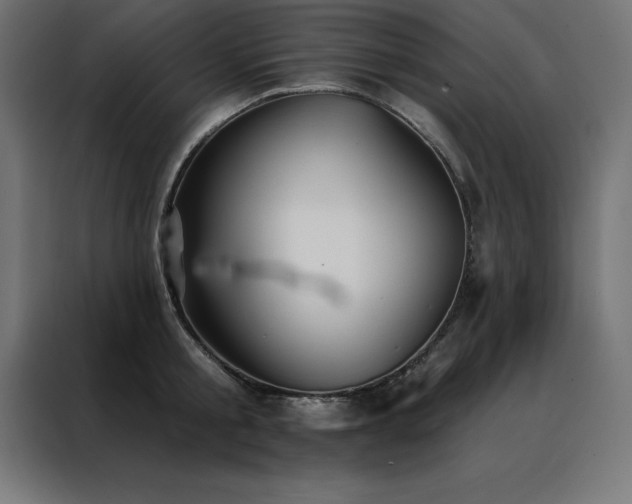 X0000088490805200705221426
