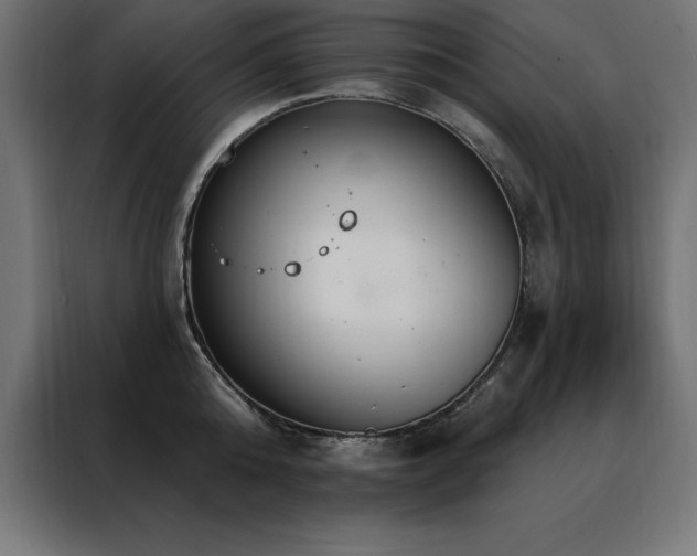 X0000088490808200705221426