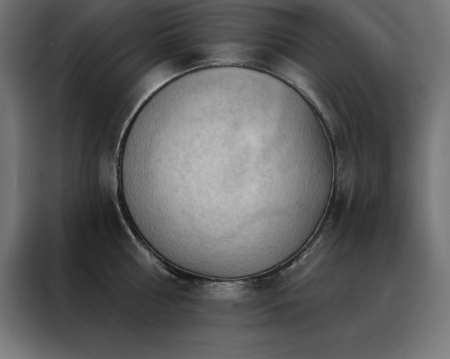 X0000088490810200705221426