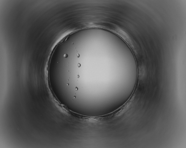 X0000088490814200705221425