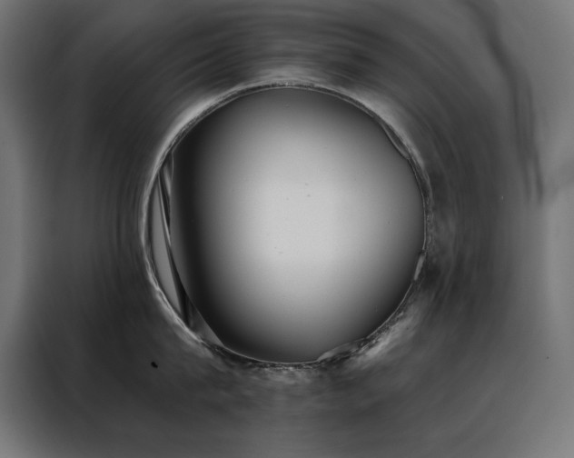 X0000088490815200705221425