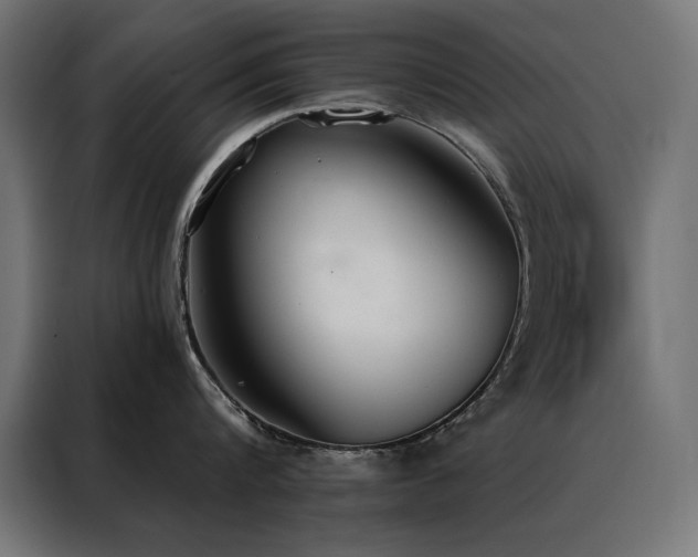 X0000088490816200705221425