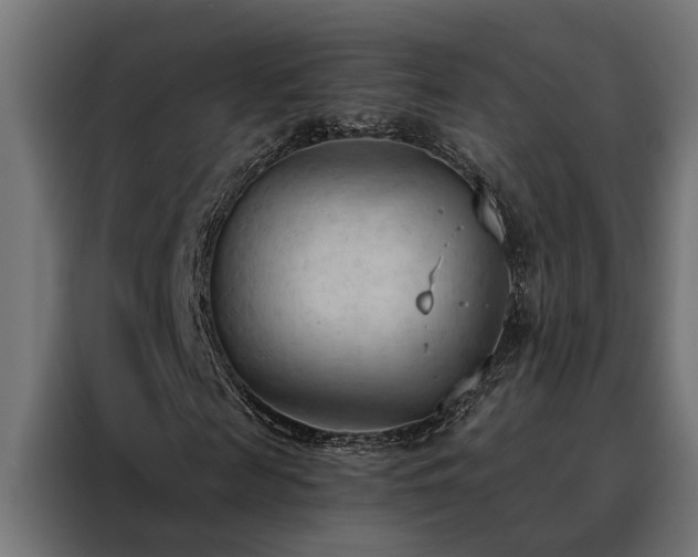 X0000088490817200705221425