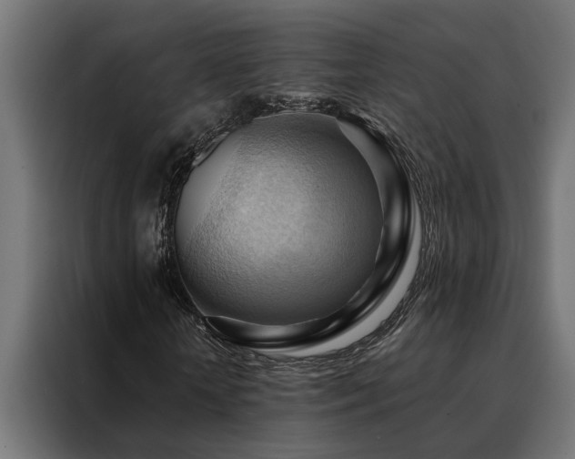 X0000088490818200705221425