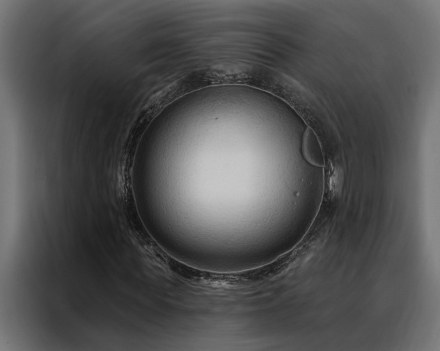 X0000088490819200705221425