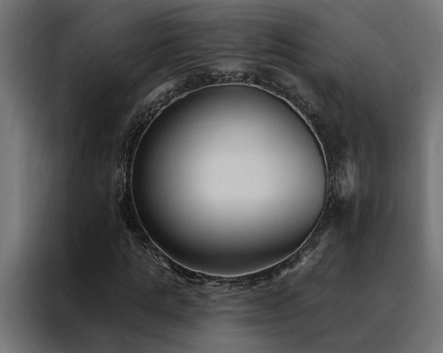 X0000088490821200705221425