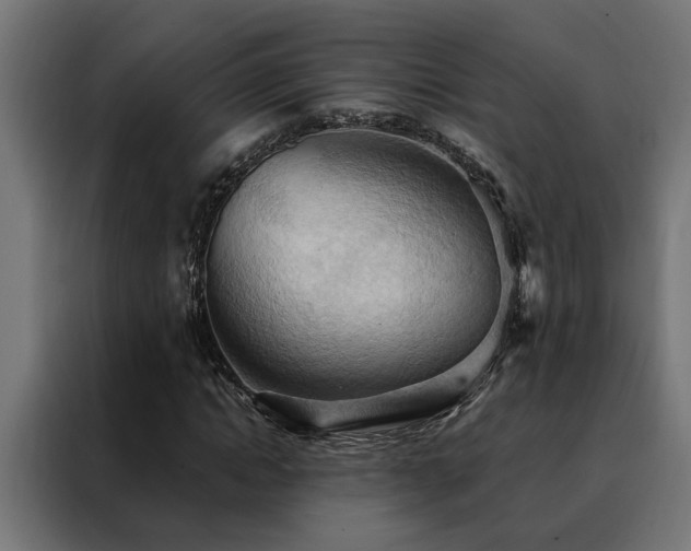X0000088490822200705221425