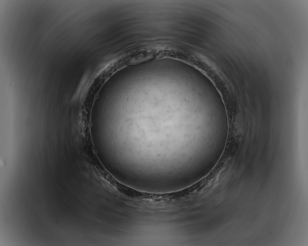 X0000088490823200705221425