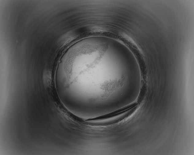 X0000088490825200705221425