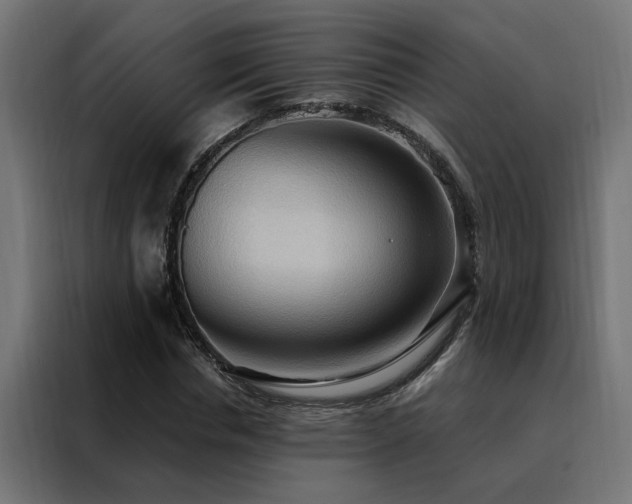 X0000088490826200705221425