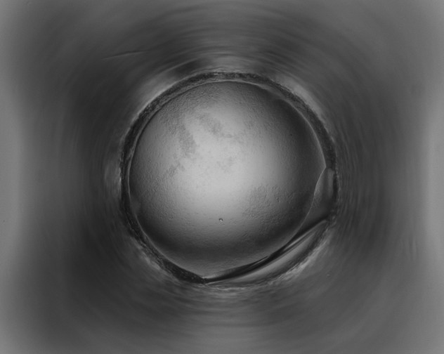 X0000088490829200705221425