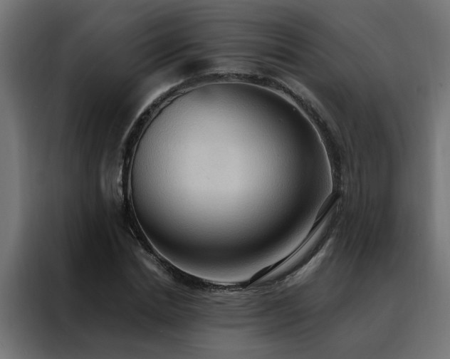 X0000088490830200705221425