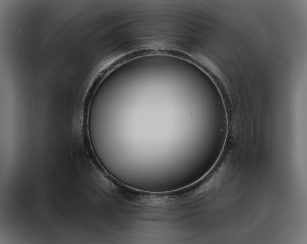 X0000088490831200705221425