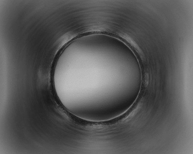 X0000088490834200705221425