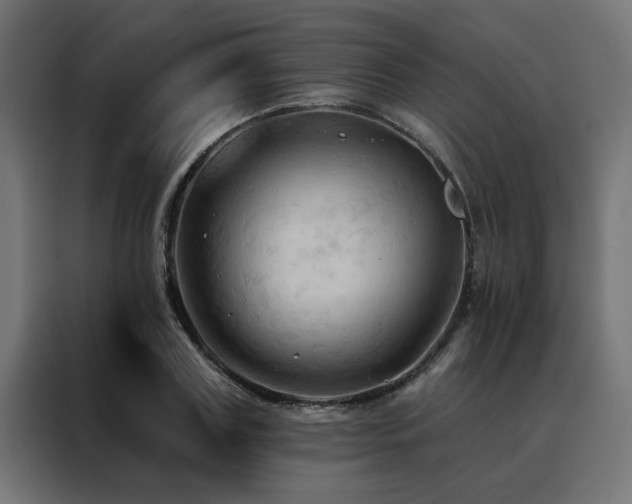 X0000088490835200705221425