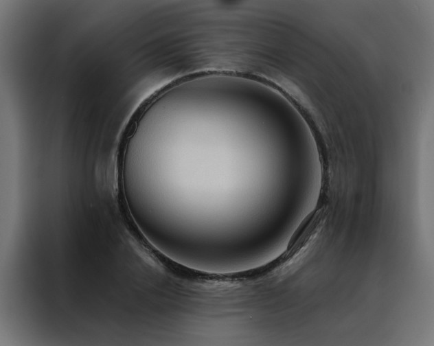 X0000088490838200705221425