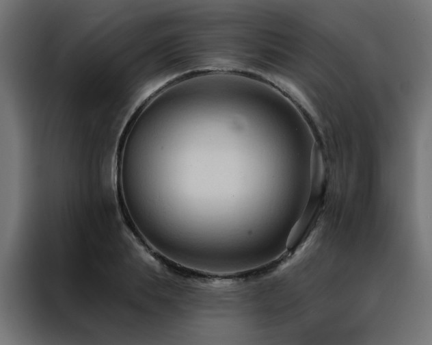 X0000088490839200705221425
