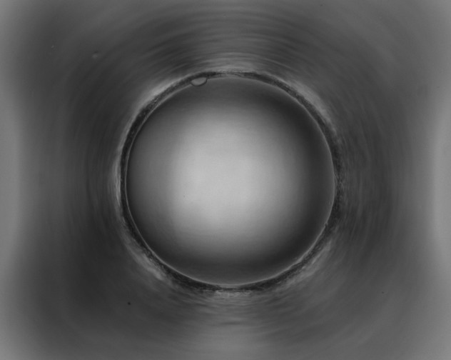 X0000088490840200705221425