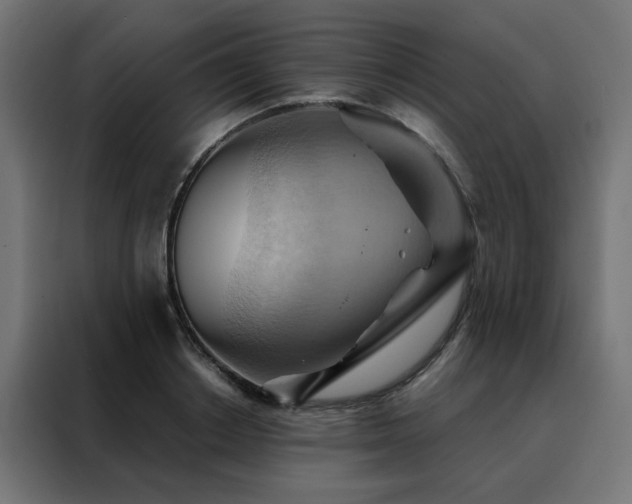 X0000088490842200705221425