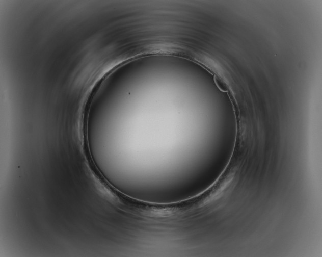 X0000088490843200705221425