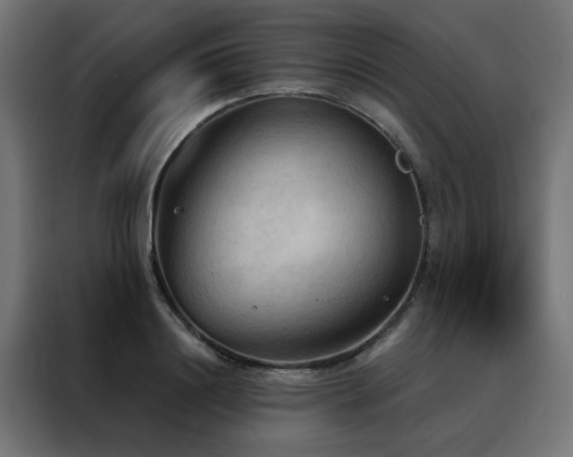 X0000088490844200705221425