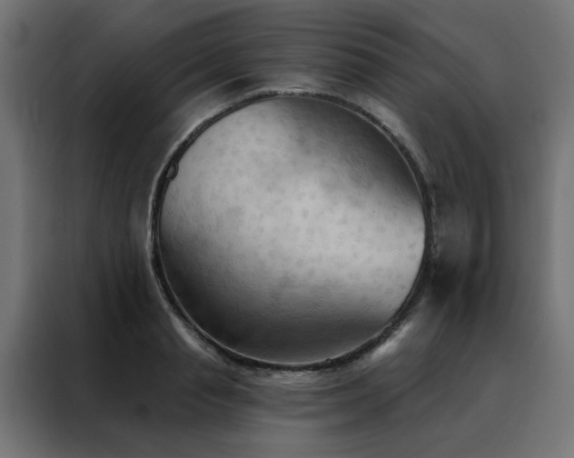 X0000088490845200705221425