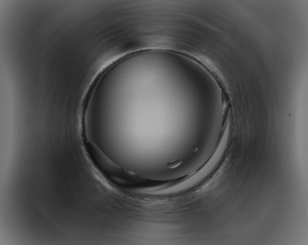 X0000088490846200705221425