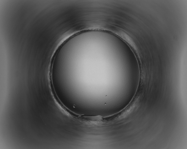 X0000088490847200705221425
