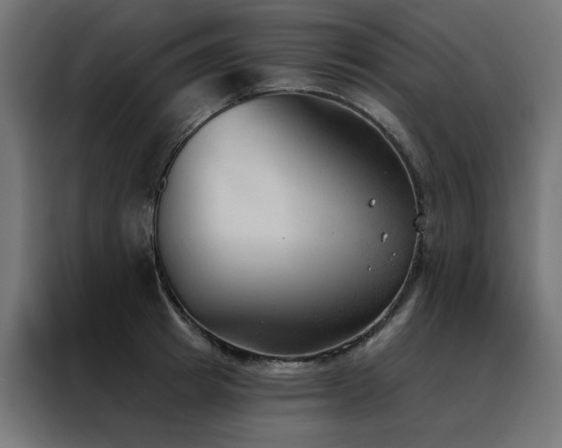 X0000088490849200705221425