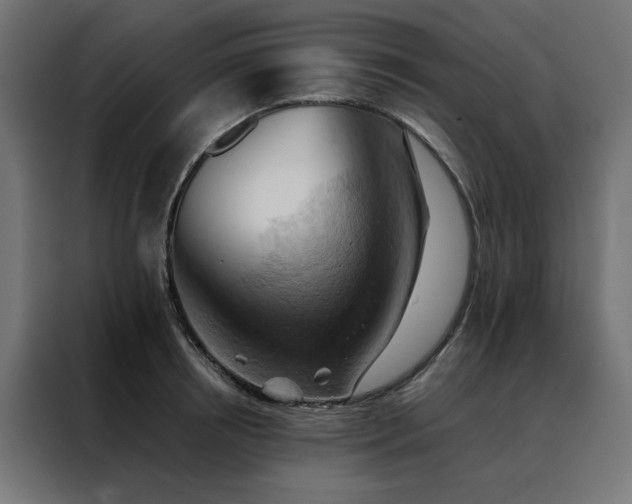 X0000088490850200705221425