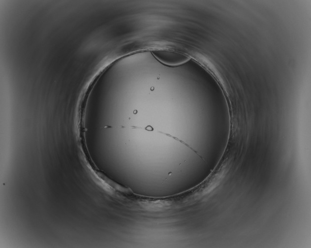 X0000088490851200705221425