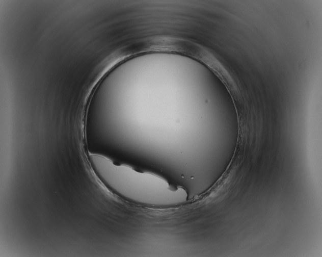 X0000088490852200705221425