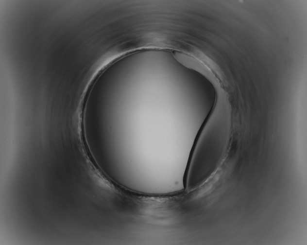 X0000088490854200705221425