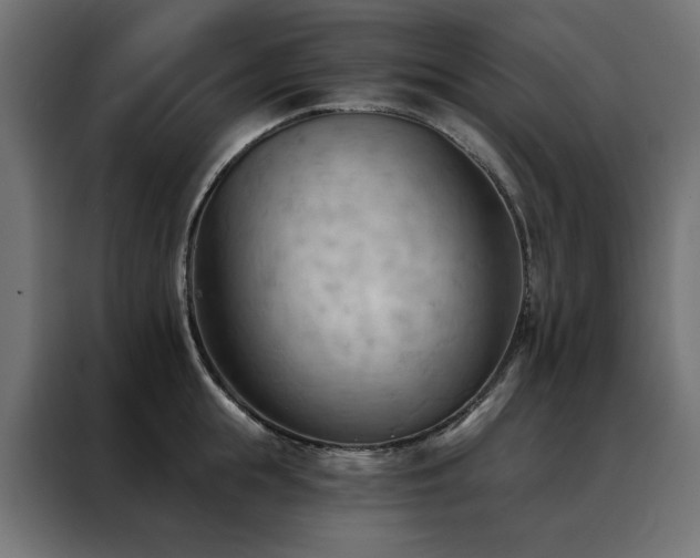 X0000088490855200705221425