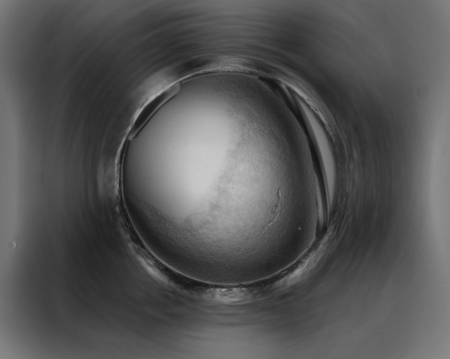 X0000088490858200705221425